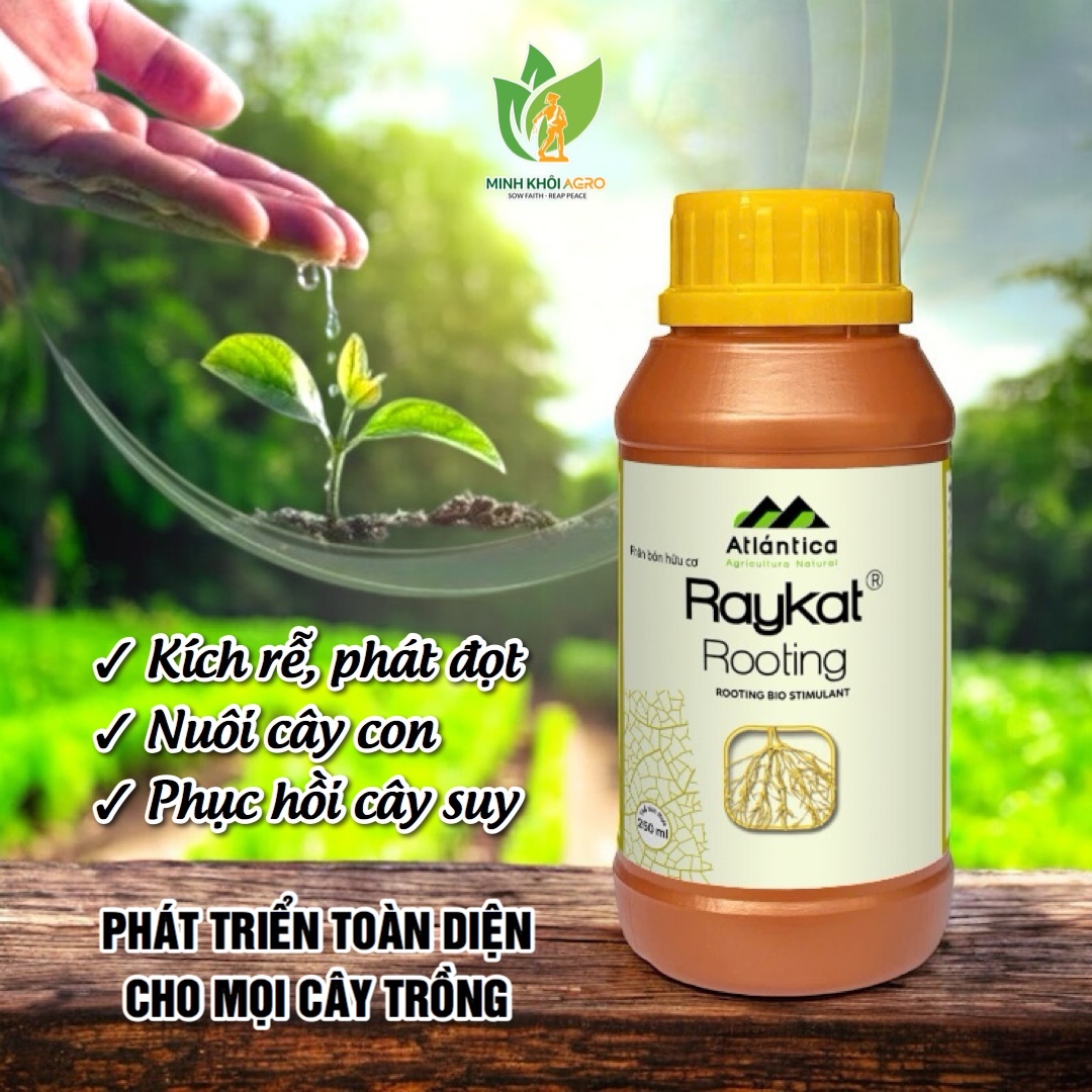 Phân bón sinh học hữu cơ Raykat Rooting - chai 250ml